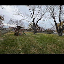Top-Quality-Fall-Clean-up-Performed-in-St-Charles-Missouri 1